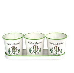 Pots métal Lot de 3+ plateau cactus - Blanc